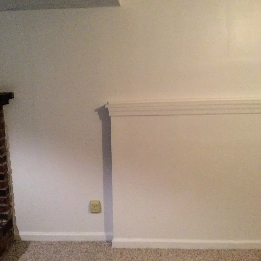 Basement wall repair and restoration in Palmetto