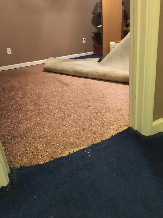 Carpet pad removal revealing water damage during Water Mitigation Services in Palmetto