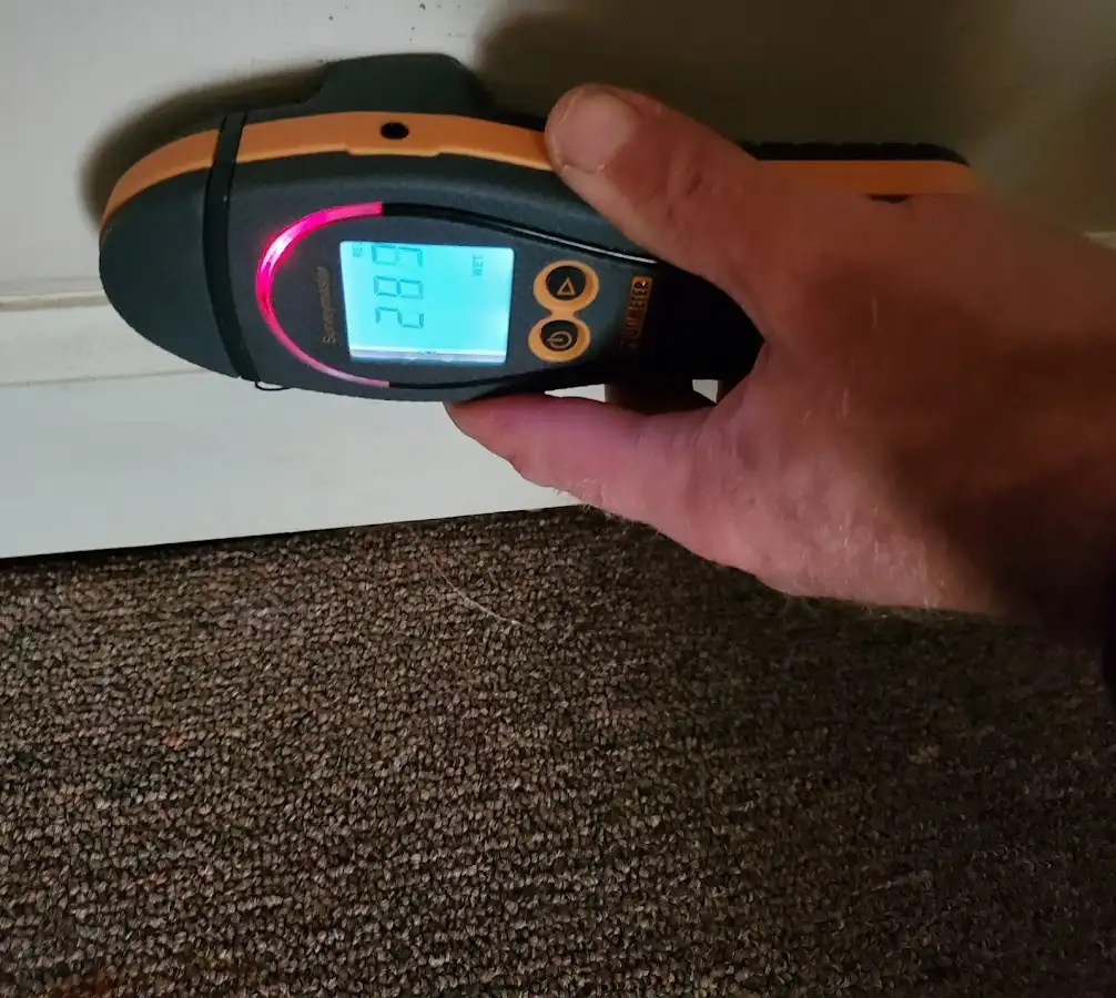 Moisture detection at baseboard during Burst Pipe Cleanup in Palmetto