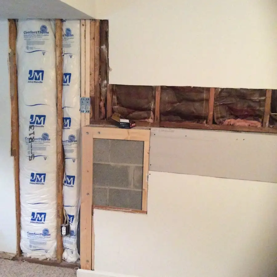 Wall insulation replacement during Basement Flood Cleanup in Palmetto